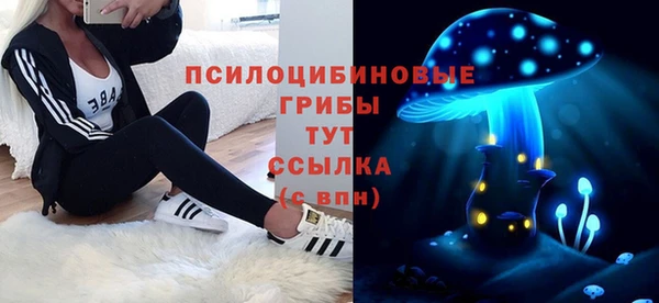 шишки Балабаново
