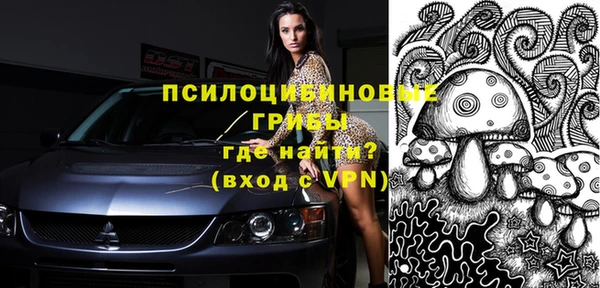 шишки Балабаново