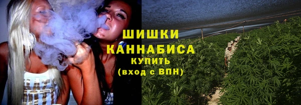 шишки Балабаново