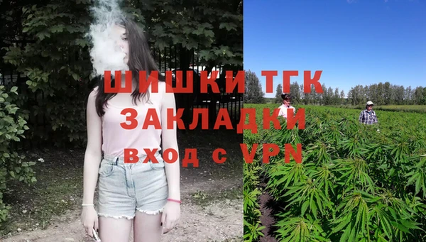 шишки Балабаново