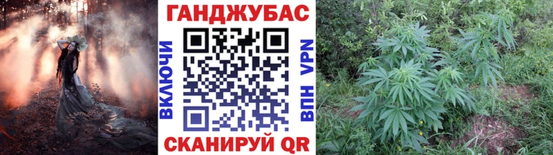 Конопля White Widow  Купить где  Североморск 